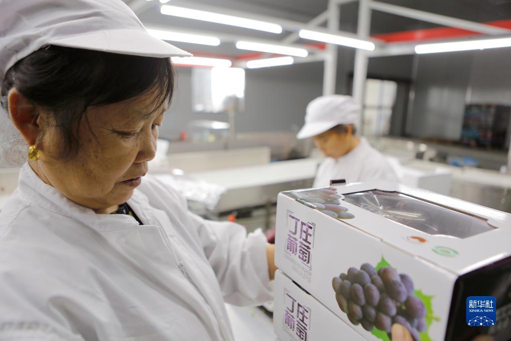 在银河不给提